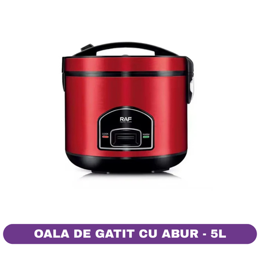Oala electrica pentru gatit cu aburi RAF R179, 1000 W, 5L